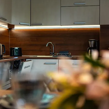 Snowapart W Villi Avangarda Apartman Szklarska Poręba