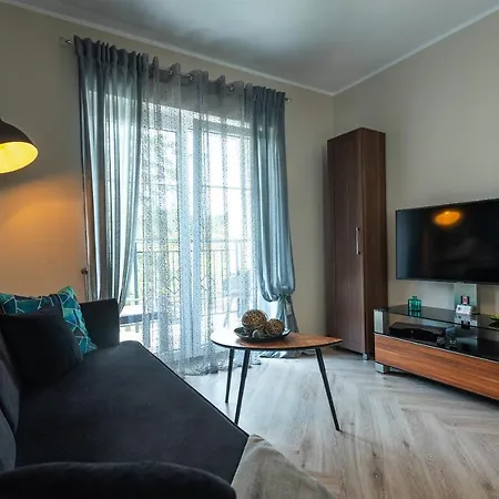 Snowapart W Villi Avangarda Szklarska Poręba